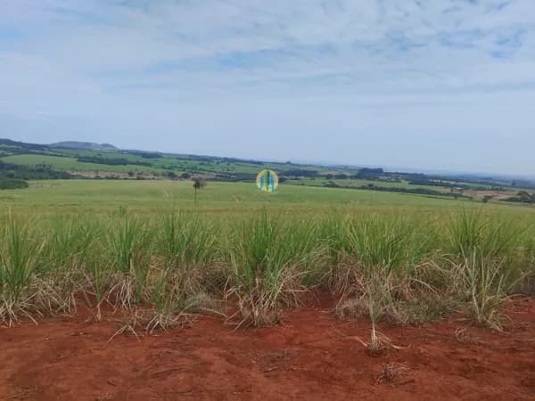 Fazenda/Sítios/Chácaras em Cajuru - Centro