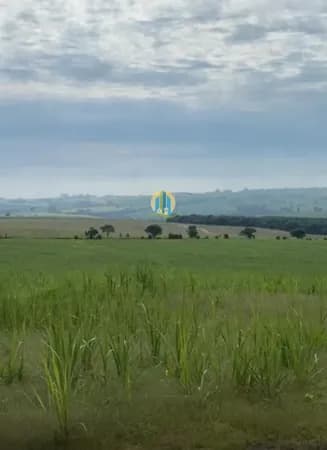 Fazenda á Venda em SP !