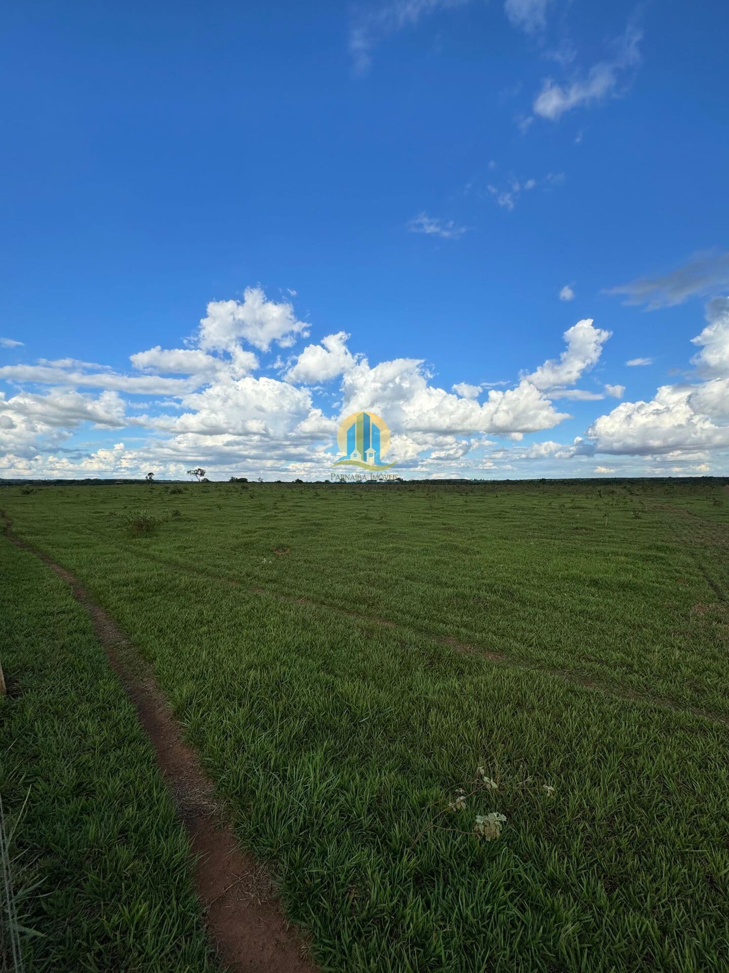 Fazenda Lavoura em Centro, Nova Alvorada do Sul/MS