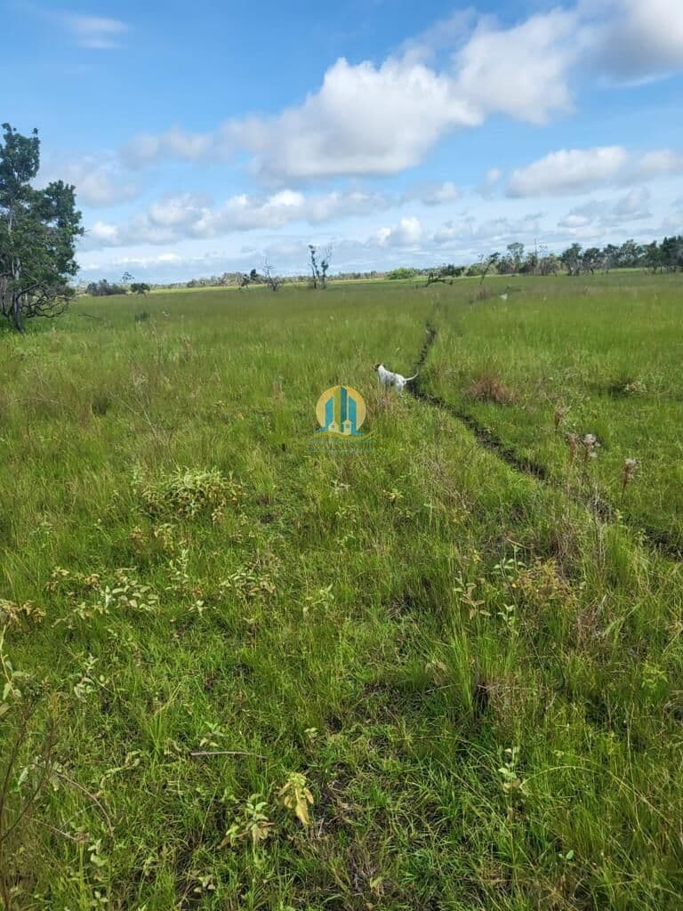 Fazenda/Sítios/Chácaras em Corumbá - Paiaguás