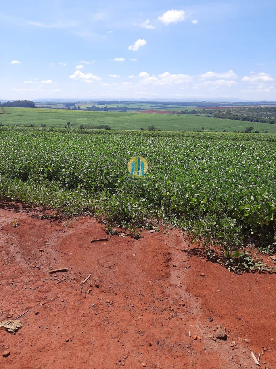 Fazenda/Sítios/Chácaras em Tambaú - Centro