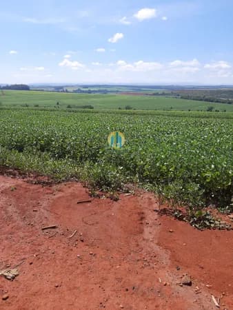 Fazenda/Sítios/Chácaras em Tambaú - Centro