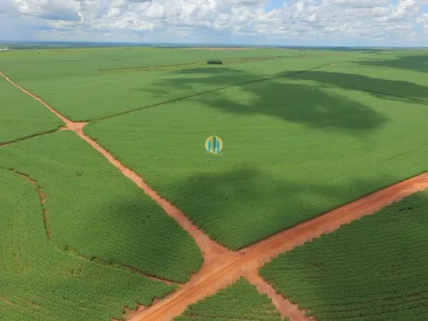 Fazenda á Venda em São Paulo !
