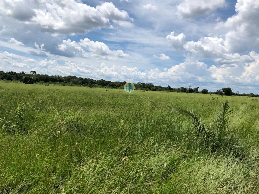 Fazenda/Sítios/Chácaras em Salto do Céu - Centro