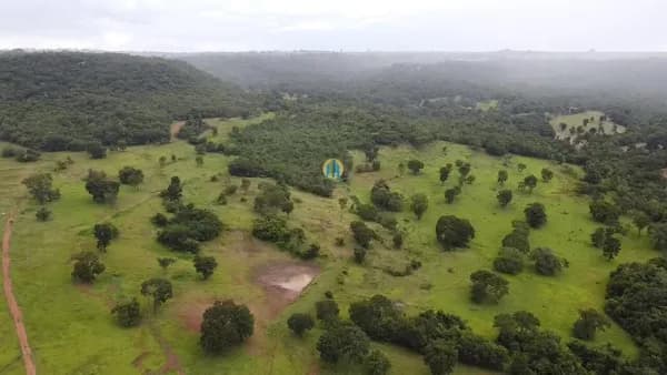 Fazenda/Sítios/Chácaras em Rio Verde - Odília