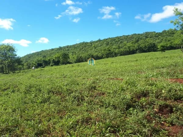 Fazenda á Venda me Mato Grosso !!