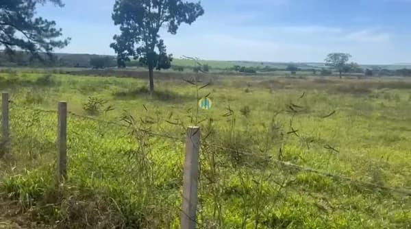 Fazenda/Sítios/Chácaras em Aparecida do Taboado - Centro