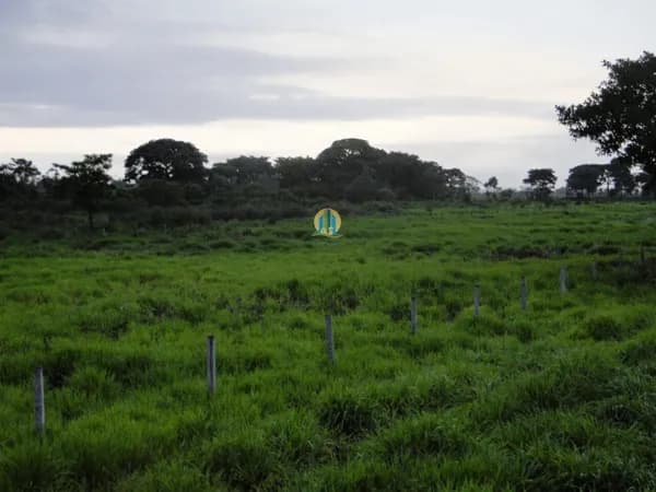 Fazenda/Sítios/Chácaras em Corumbá - Área Rural de Corumbá