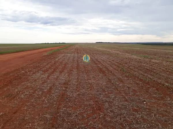Fazenda/Sítios/Chácaras em Sorriso - Centro