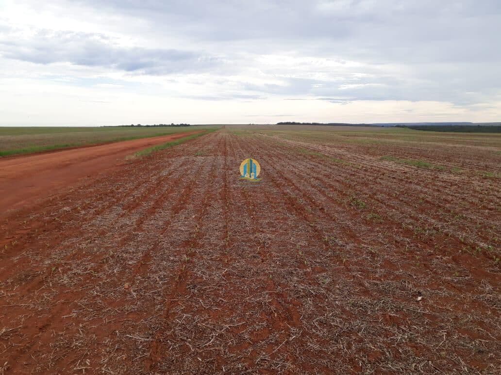 Fazenda/Sítios/Chácaras em Sorriso - Centro