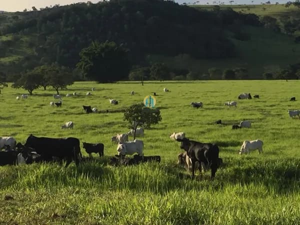 Fazenda a venda !!!