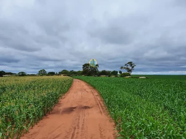 Fazenda em MS á Venda !!