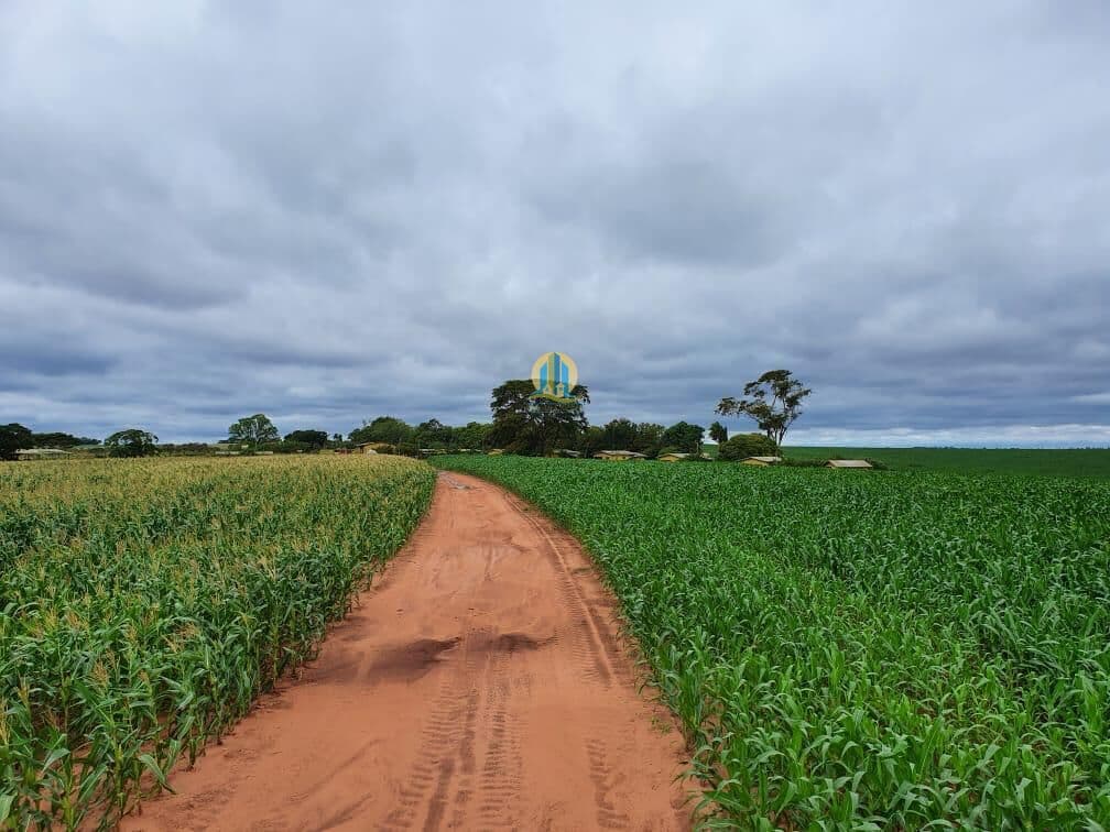 Fazenda em MS á Venda !!