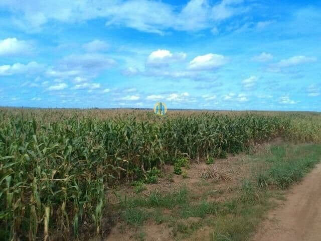 Fazenda Maravilhosa/MA