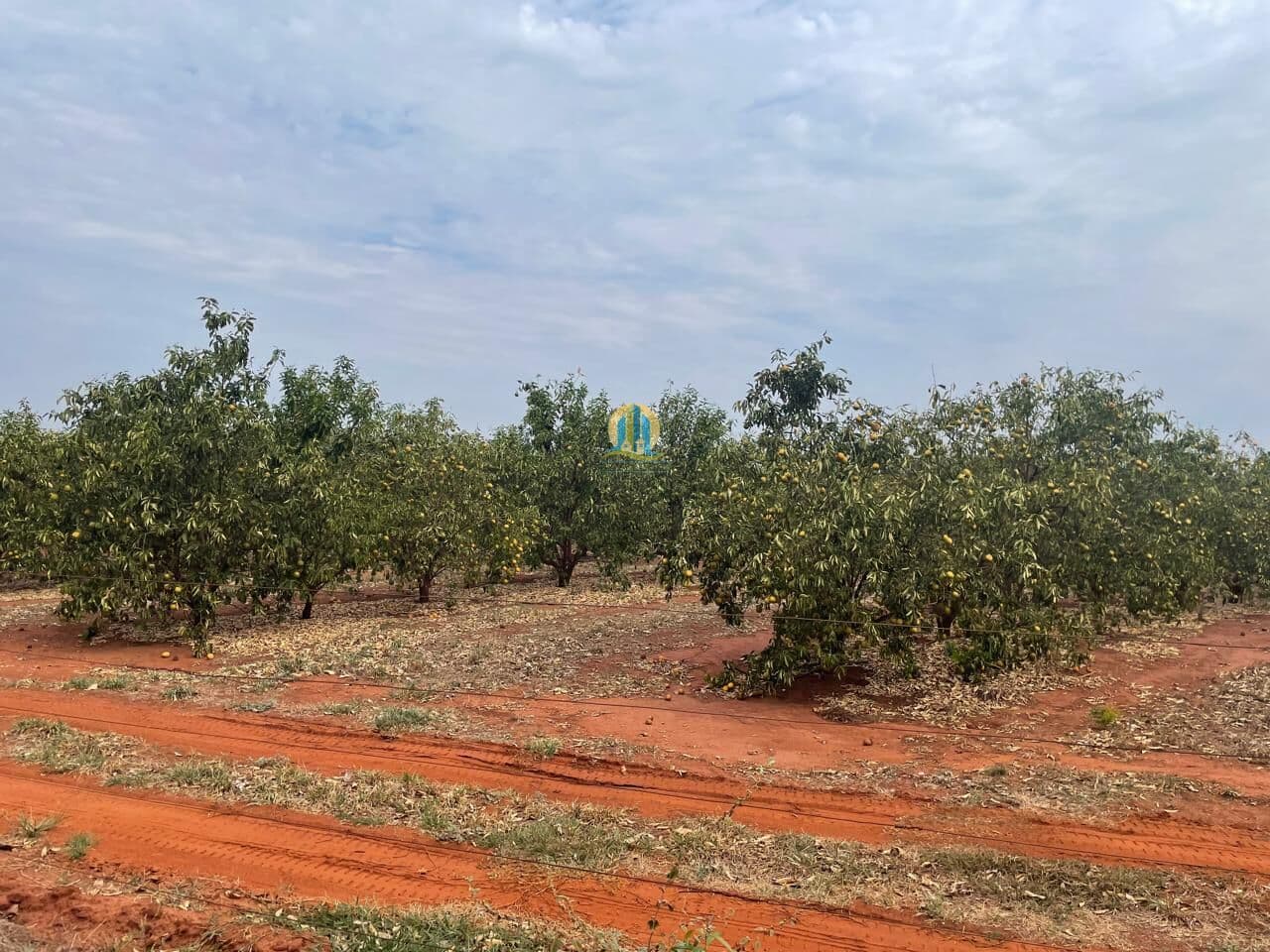 Fazenda/Sítios/Chácaras em Pedras de Maria da Cruz - Centro