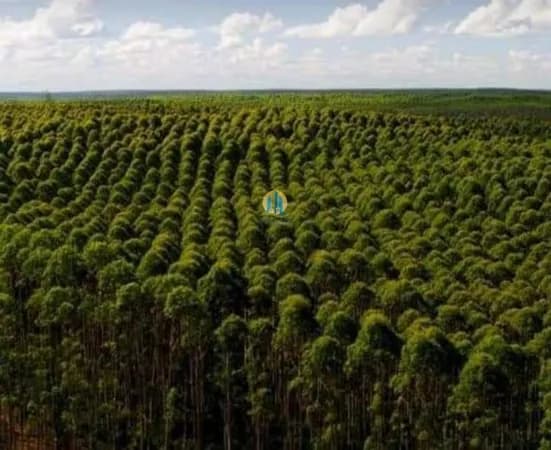 Fazenda/Sítios/Chácaras em Pirapora - Bom Jesus