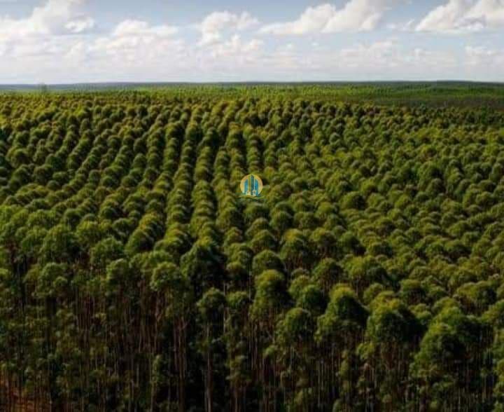 Fazenda/Sítios/Chácaras em Pirapora - Bom Jesus