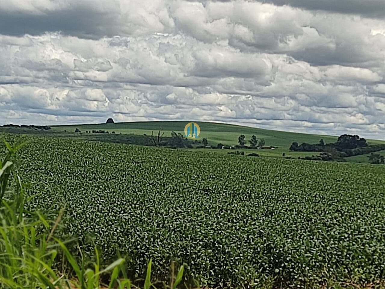 Fazenda/Sítios/Chácaras em Boa Esperança do Sul - Jardim Primavera