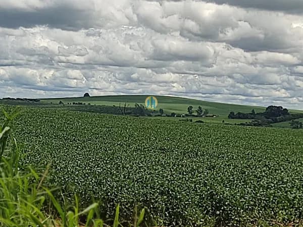 Fazenda/Sítios/Chácaras em Boa Esperança do Sul - Jardim Primavera