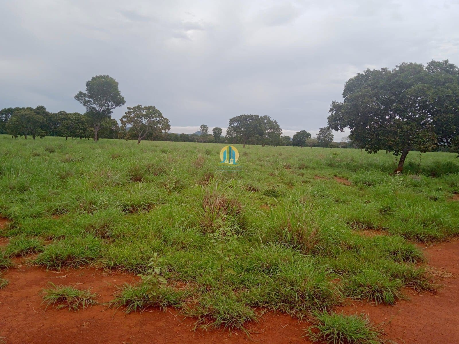Fazenda/Sítios/Chácaras em Silvianópolis - Centro
