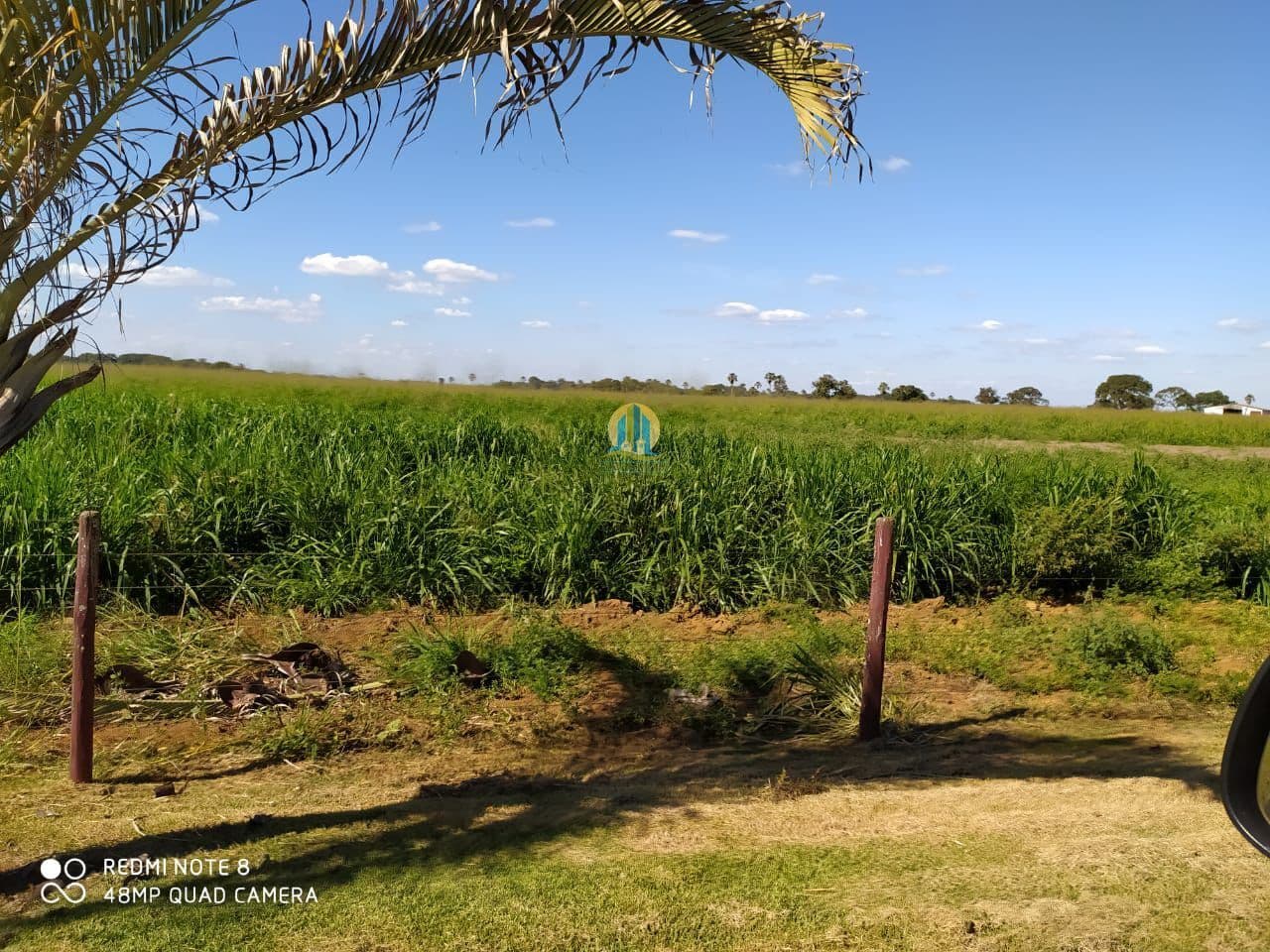 Fazenda á Venda em GO !