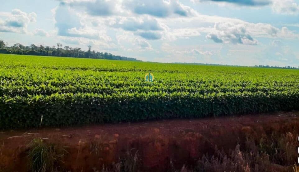 Fazenda á venda