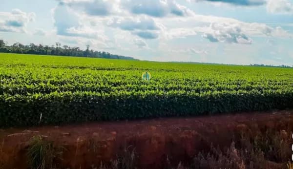 Fazenda á venda