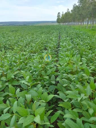 Fazenda/Sítios/Chácaras em Salvador - Brotas