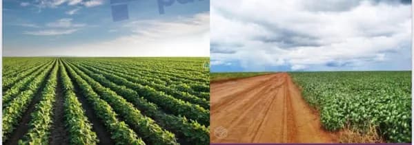 Maravilhosa Fazenda á Venda em Mato Grosso !