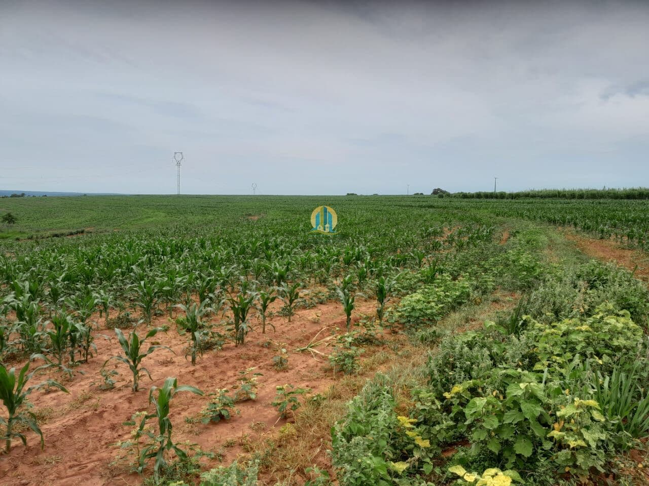 Fazenda/Sítios/Chácaras em Rio Brilhante - Centro