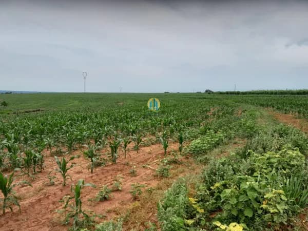 Fazenda/Sítios/Chácaras em Rio Brilhante - Centro