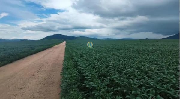 Fazenda/Sítios/Chácaras em Santana do Araguaia - Centro