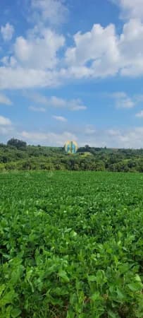 Fazenda/Sítios/Chácaras em Brumadinho - Centro