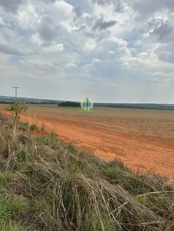 Fazenda/Sítios/Chácaras em Santa Rita do Trivelato - Centro