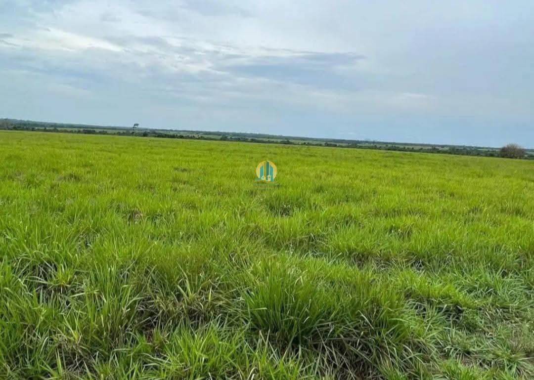 Fazenda/Sítios/Chácaras em Paraíso do Tocantins - Centro