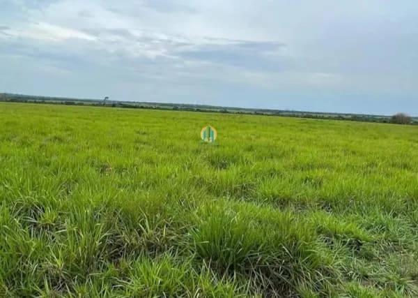 Fazenda/Sítios/Chácaras em Paraíso do Tocantins - Centro