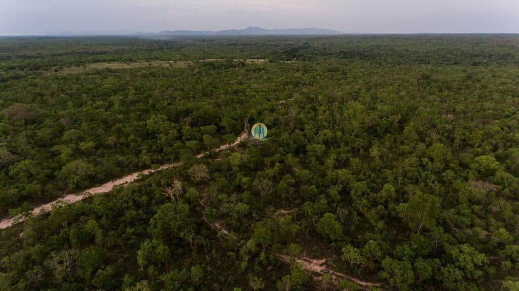 Fazenda á Venda !!