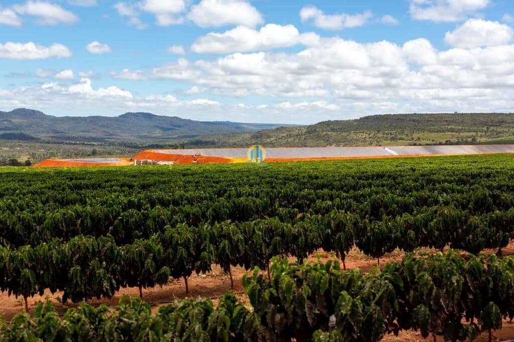 Fazenda/Sítios/Chácaras em Fronteira - Centro