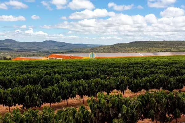 Fazenda/Sítios/Chácaras em Fronteira - Centro