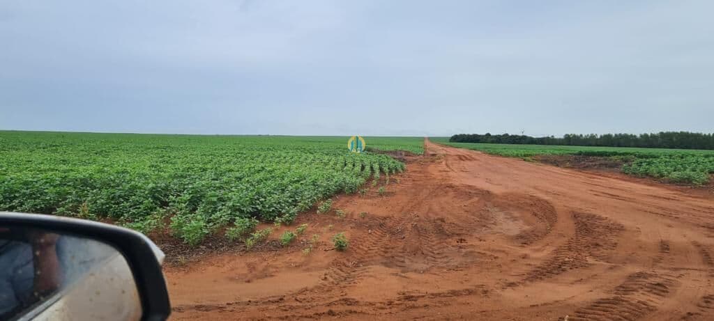 Fazenda/Sítios/Chácaras em Sorriso - Centro