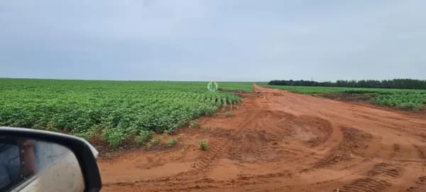 Fazenda/Sítios/Chácaras em Sorriso - Centro