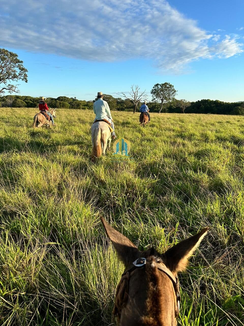 Fazenda/Sítios/Chácaras em Sítio Novo do Tocantins - Centro