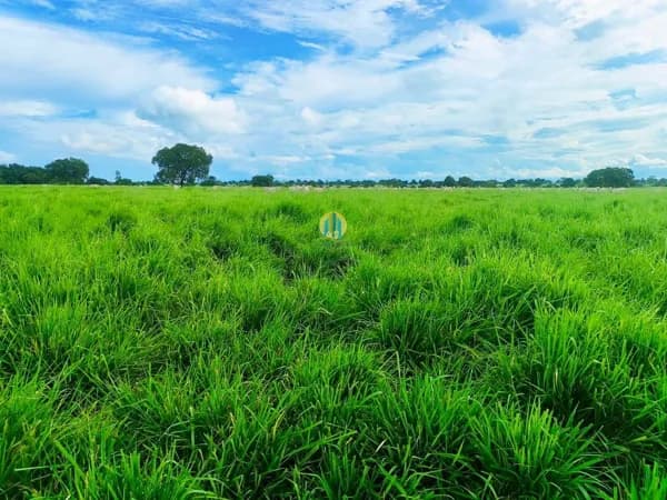 Fazenda á Venda em GO !