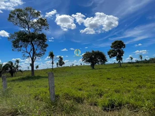 Fazenda à Venda !!