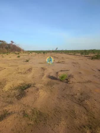 Fazenda/Sítios/Chácaras em São Miguel do Tapuio - Centro