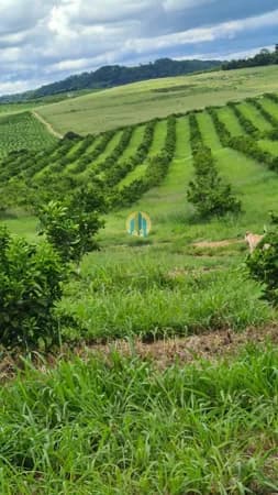 Fazenda á Venda em São Paulo !!