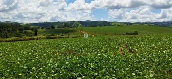 Fazenda/Sítios/Chácaras em Itapira - Centro