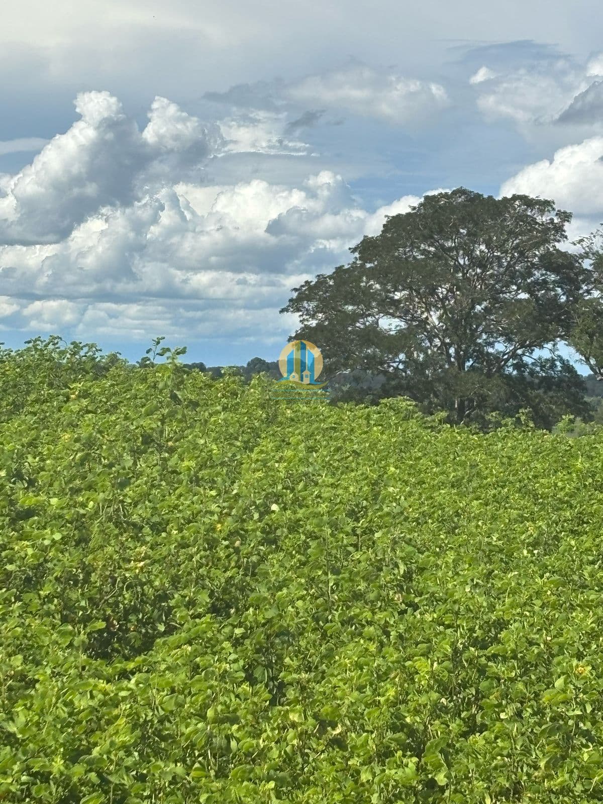 Fazenda/Sítios/Chácaras em Itajá - Centro