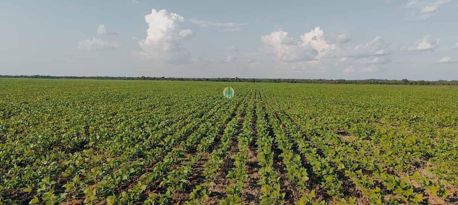 Fazenda/Sítios/Chácaras em Peixe - Centro