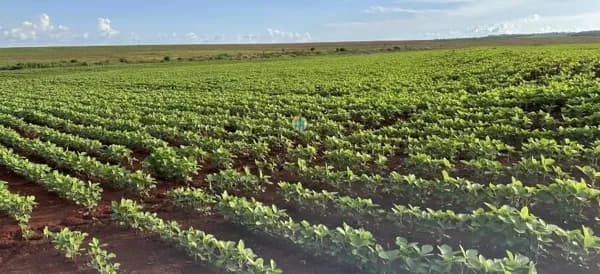 Fazenda á Venda em Maranhão !!